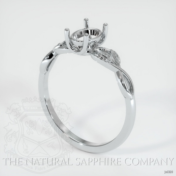 The ring looks amazing!