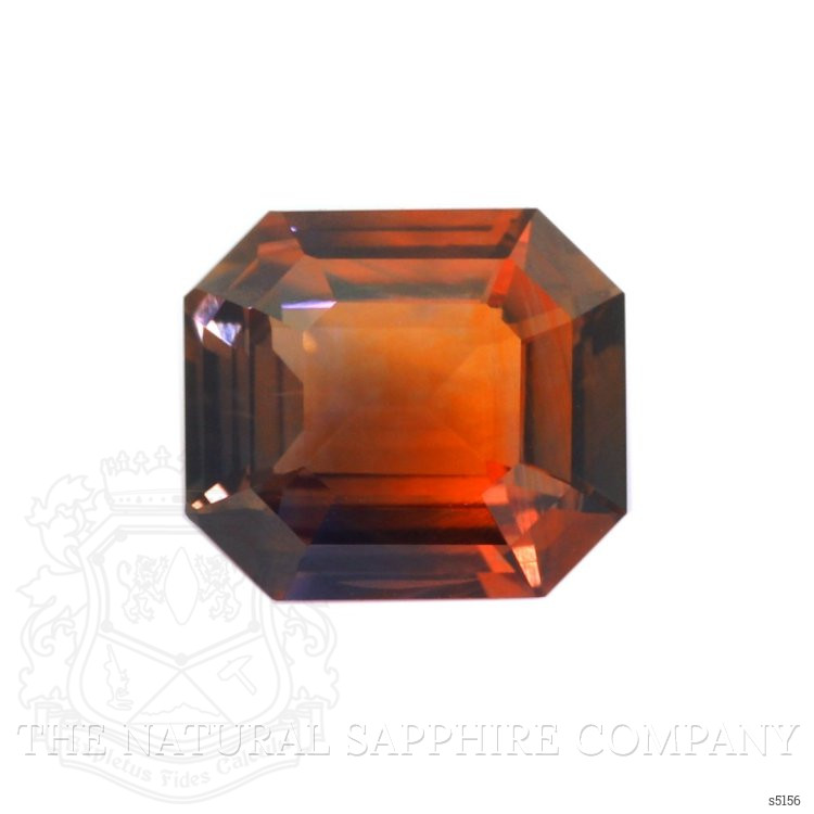 Highly recommend this company!