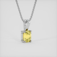 Couldn’t love my pendant more!